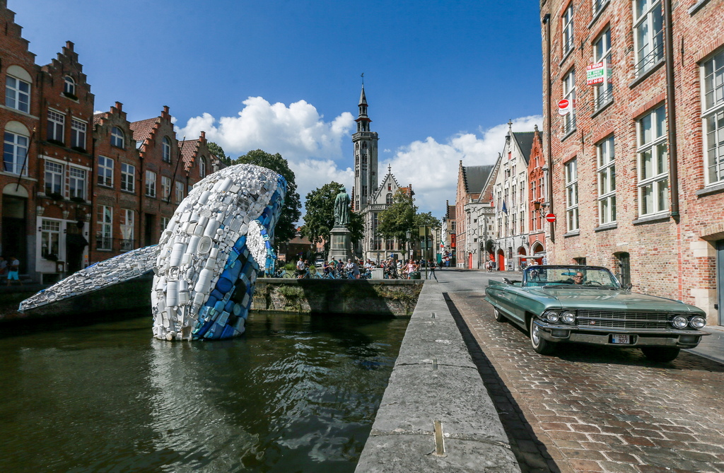 12-метрова инсталация, изобразяваща кит, състоящ се от пет тона пластмасови отпадъци, извадени от Тихия океан е изложена в Брюж, Белгия. Тя се състои от 5 тона пластмаса и подчертава опасността от пластмасови отпадъци, замърсяващи околната среда, морета и океани.
