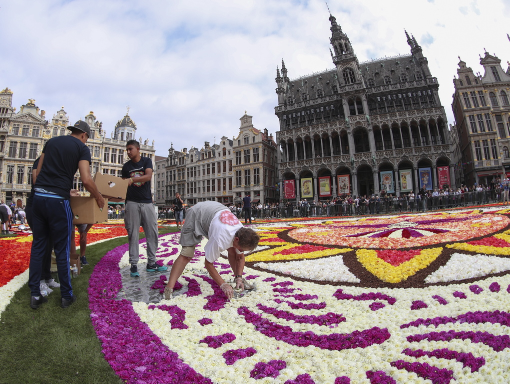 Цветен килим - 1800 квадратни метра на тема "Гуанахуато, културна гордост на Мексико" на централният площад Гран Плас в Брюксел, Белгия. Цветният килим е направен с над 500 000 далии и бегонии