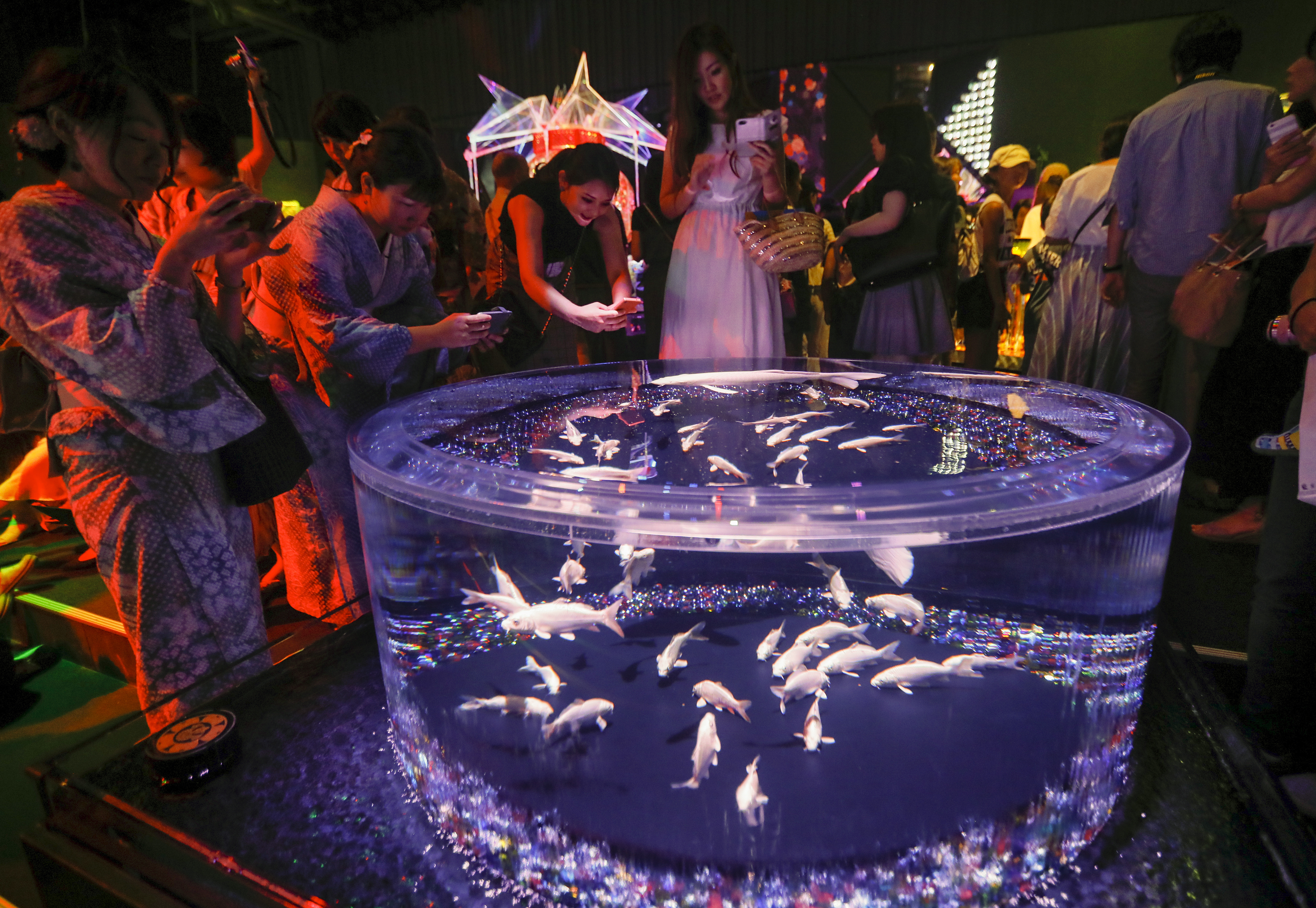 В аквариума в Нихонбаши, централен район на Токио, Япония са показани около 8 000 златни рибки