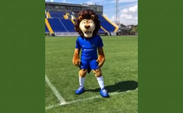 Още едно попълнение в Левски, талисманът пристигна