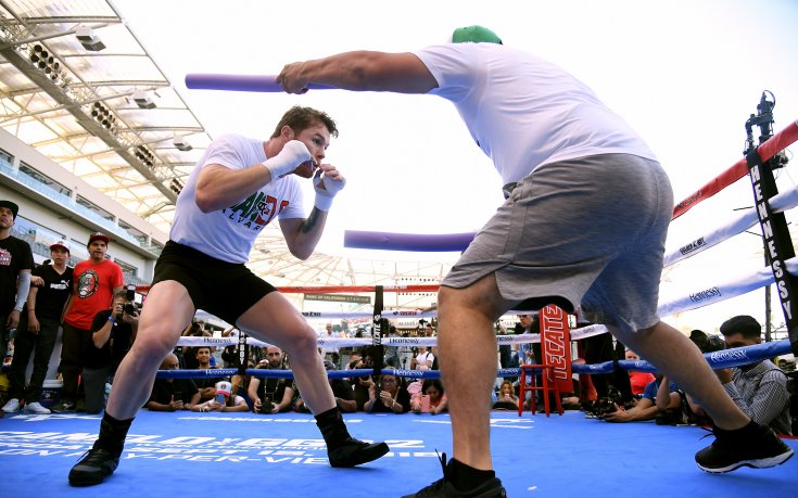 Българка ще е супервайзър на Алварес - Головкин