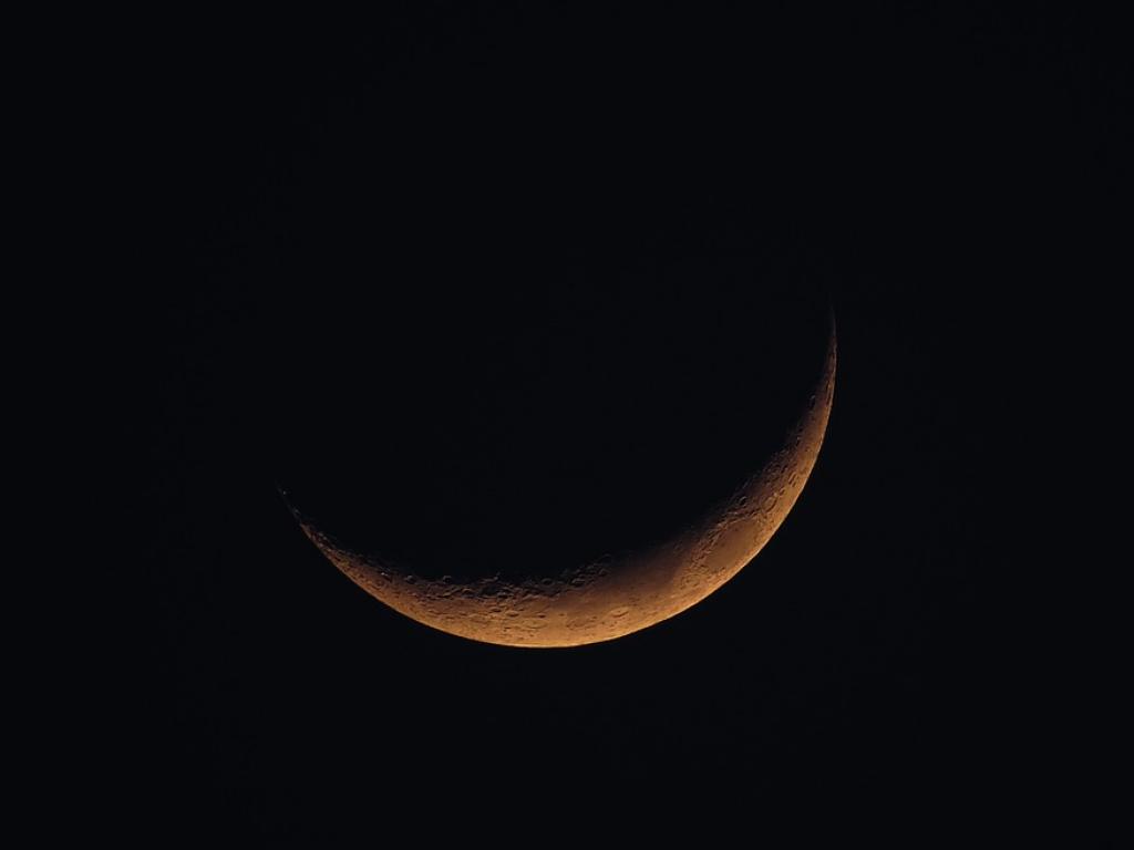 Снимка: pixabay