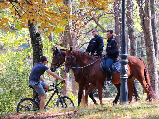  есен топло време слънце слънчево катеричка 