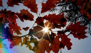 Топли есенни дни в софийските паркове
