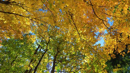  <p>Какво ще е времето през септември, ще захладнее ли</p> 