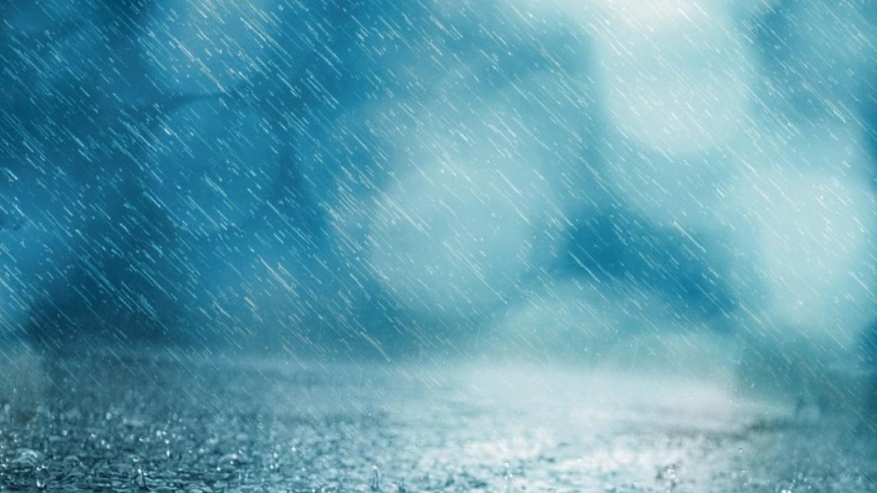 Снимка: pixabay