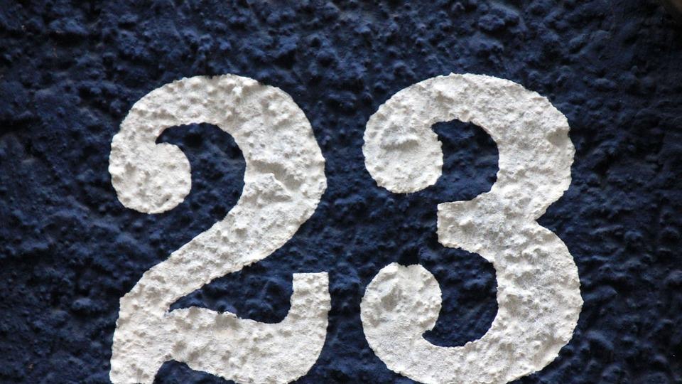 23