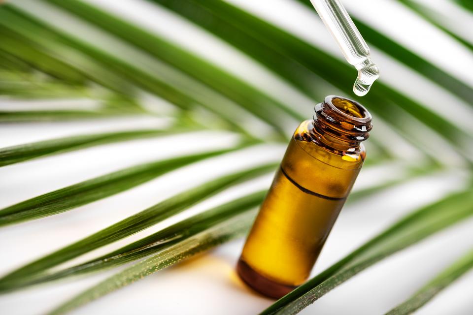  чаено дърво 