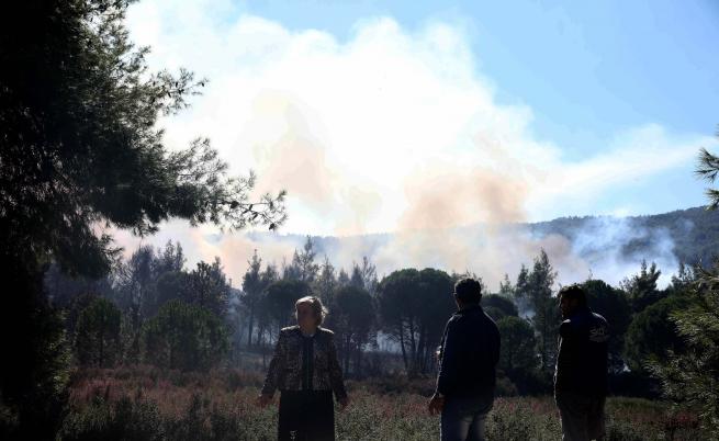Огромният пожар край Ситония продължава