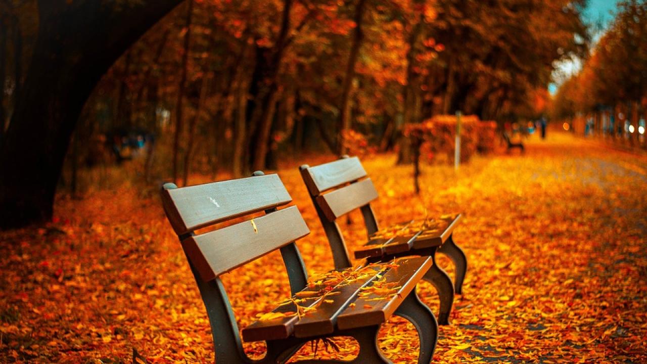 Снимка: pixabay