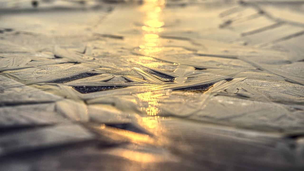 Снимка: pixabay