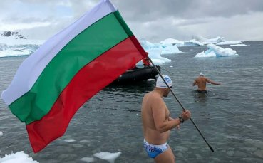Какво стои зад невероятния успех на Петър Стойчев?