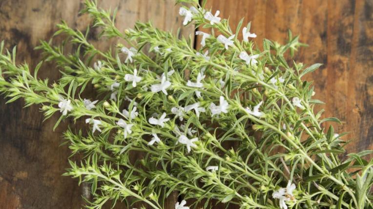  4-те най-силни билки против косопад 