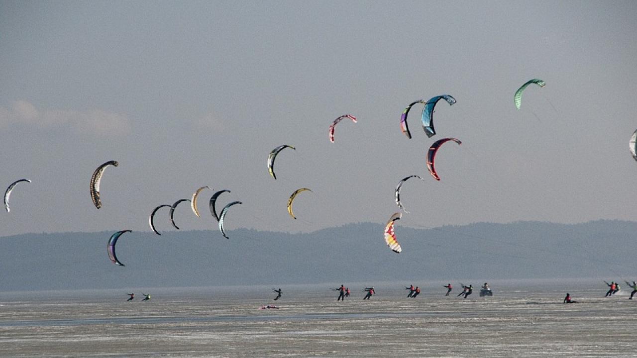 Снимка: pixabay
