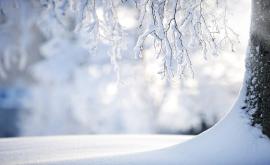  <p>Ако зимата продължи като в &bdquo;Игра на тронове&rdquo;</p> 