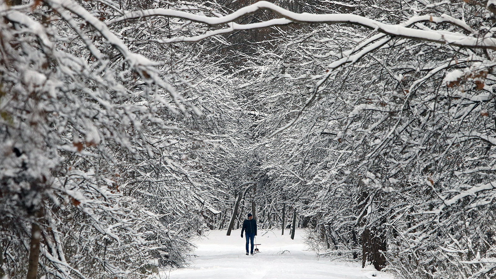 Зимна разходка в Северния парк, София
