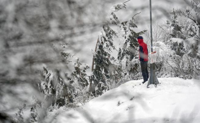 Балканите в плен на снега, жертви в Сърбия