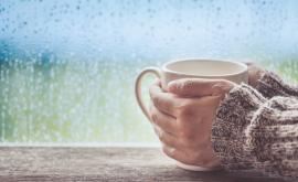  Валежи, след уикенда ново захлаждане с няколко градуса 