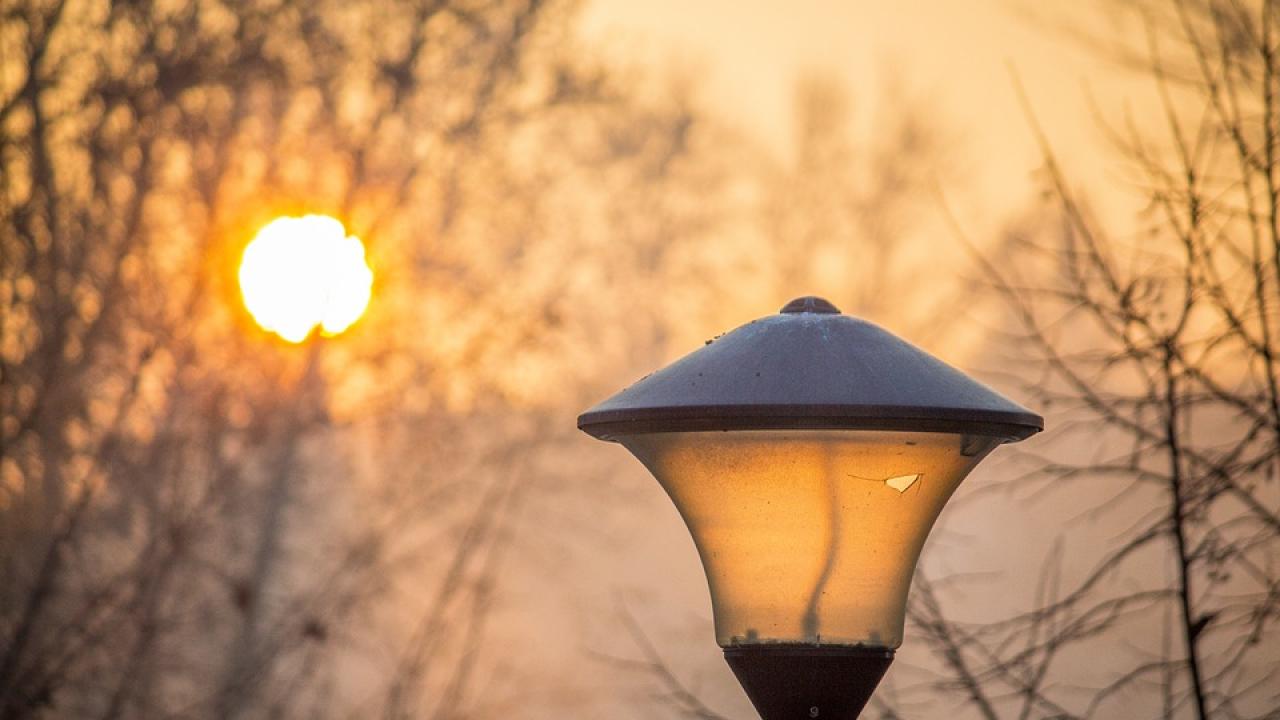 Снимка: pixabay