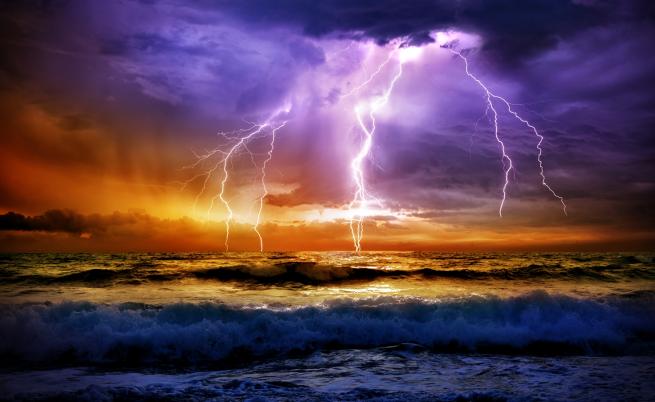  Как рибите оцеляват при гръмотевична стихия 