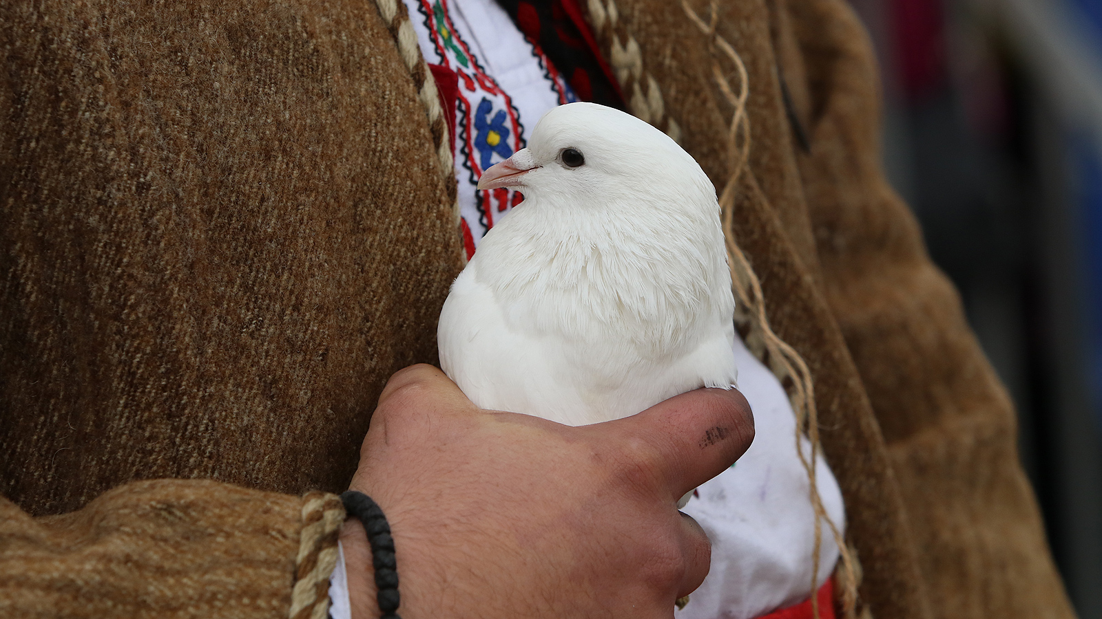 "Сурва" в Перник 2019