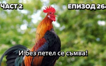 И без петел се съмва!