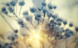  <p>С <strong>какво време</strong> ще стартира новата седмица</p> 