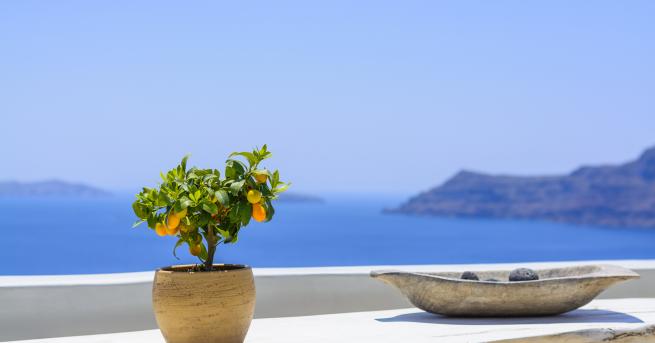 Липсата на двор и голяма градина не бива да ни