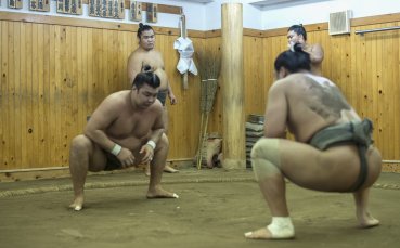 Забраниха брадите, ноктите и татуировките в сумото