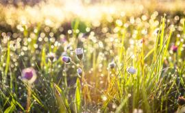  <p>Идва захлаждане, какво ще е времето през май</p> 