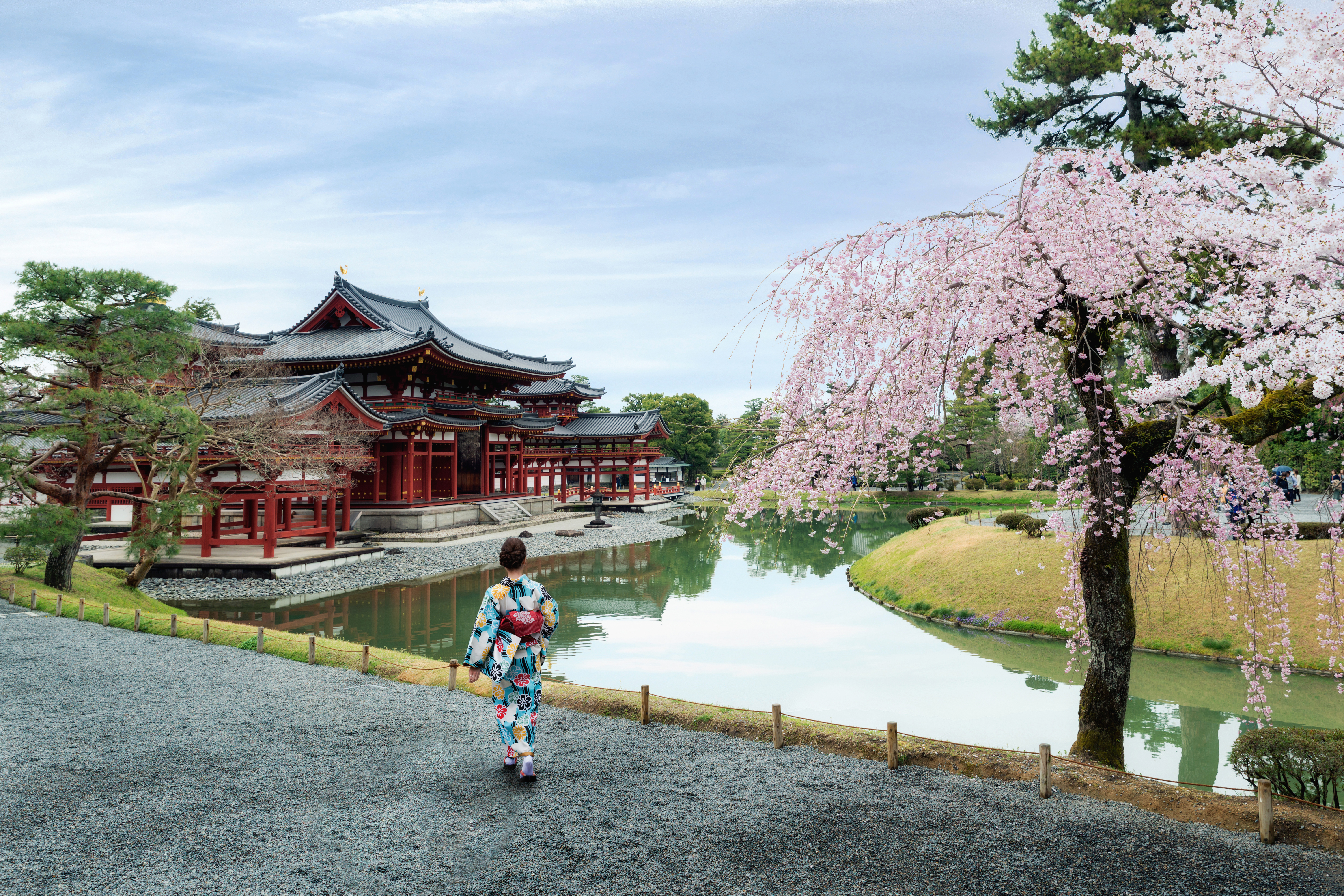В Япония започна сезонът на цъфтежа на вишните сакура, който всяка година се посреща с голям ентусиазъм в Страната на изгряващото слънце.
