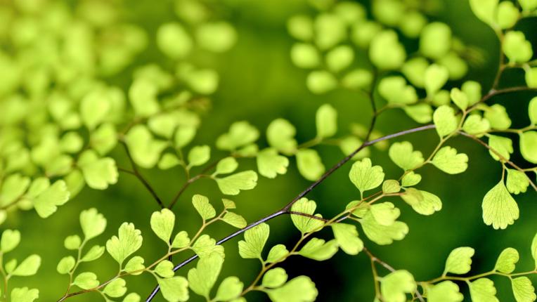 Дневен хороскоп за сряда, 15 април