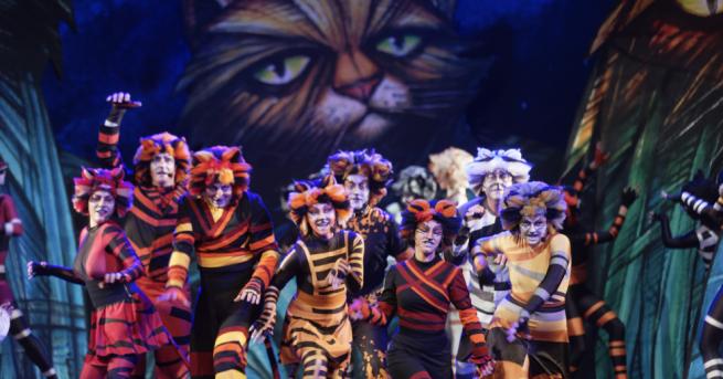 Сензационният мюзикъл Котките безспорно е един от най обичаните спектакли с