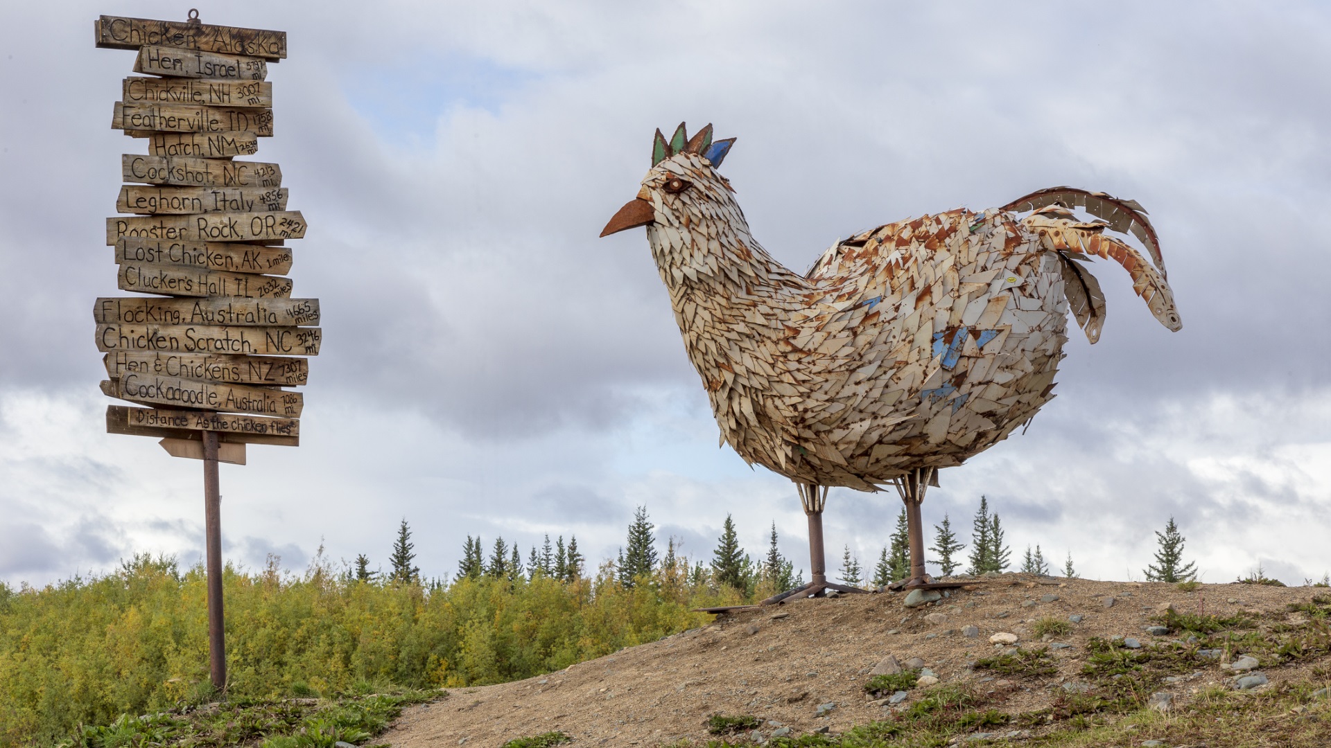 Пиле, Аляска (Chicken, Alaska)<br />
 <br />
Градът е основан от миньори, които копаели за злато в края на XIX в., а през 1902 г. е създадена местна пощенска служба, която изисква да има име на общността. Тундровата яребица е била много разпространена в района и е предложена за официално име на новата общност (Ptarmigan). Правописът обаче предизвикал редица спорове и хората използвали по-простото Пиле (Chicken).