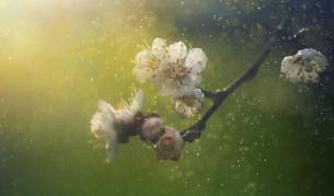 Дъжд и гръмотевици, сняг в планините. Кога ще спре да вали