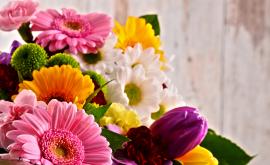  Цветница е! Какви са обичаите на днешния ден 