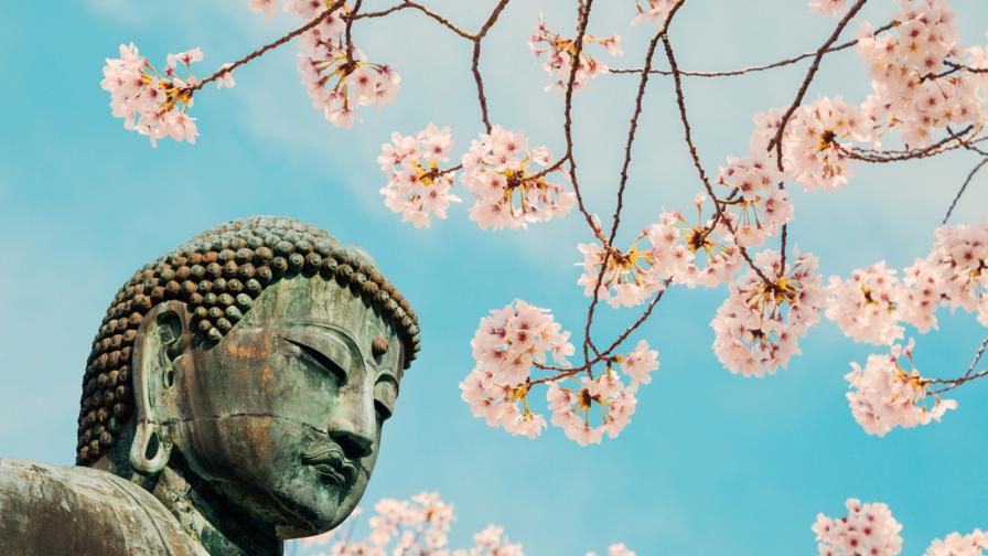  Свещеният бийт на Буда 