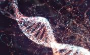 ДНК проучване: Откриха неизвестна група предци на японците