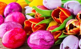  <p>Идеи за боядисване на яйцата, с които ще <strong>изненадате</strong></p> 