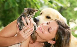  Искам да си взема куче... или пък котка 