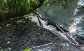  Снимка: списък 