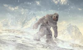  <p>Индийската войска: Намерихме стъпки на Йети&nbsp;&nbsp;</p> 