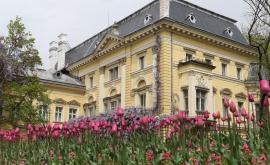  <p><strong>Царският дворец</strong> - една от перлите на София&nbsp;(СНИМКИ)</p> 