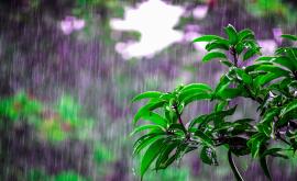  Какво ще е времето през уикенда 