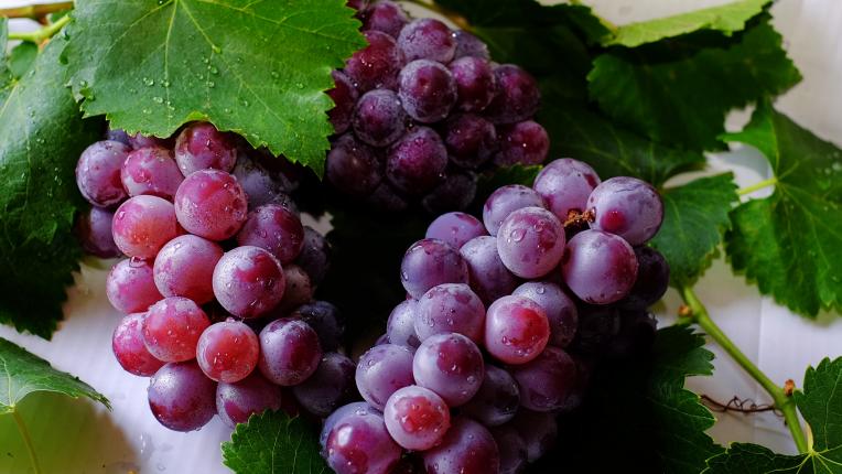  9 аргументи да ядем повече грозде 