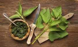  <p><strong>Тази билка няма равна:</strong> вижте свойствата ѝ</p> 