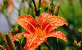  Днес жълт код за дъжд и гръмотевици 