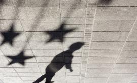  Цял град се сплоти в помощ на две деца 