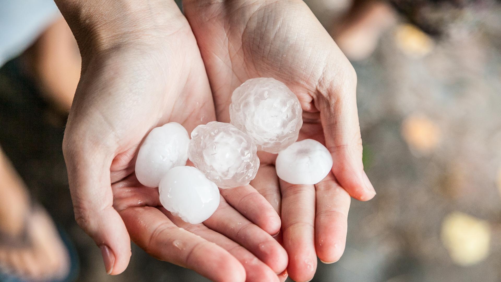 Градушка с размерите на орех падна в асеновградското село Горнослав