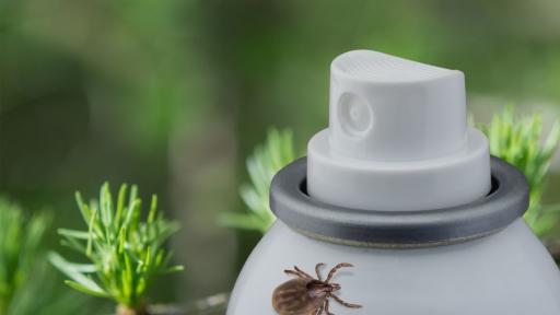  Бум на потърпевши от кърлежи 